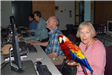 Parrot Next to Woman Sitting