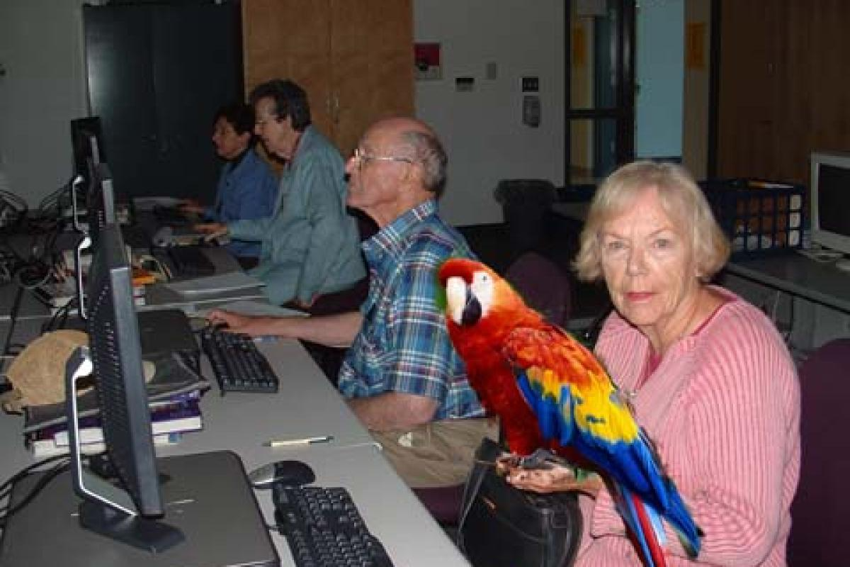 Parrot Next to Woman Sitting